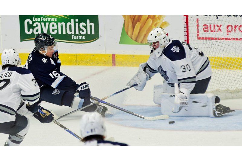 Hockey en Estrie : le Phoenix, les Cantonniers et la LRH en action